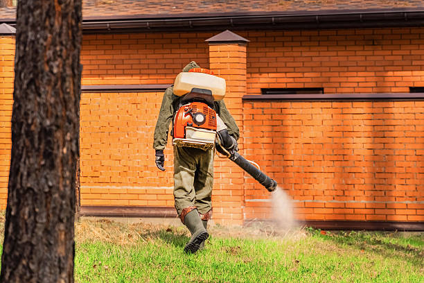 Bed Bug Clearance Verification and Documentation in Chilton